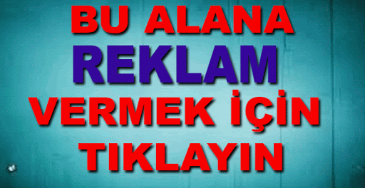 BLOG DETAY